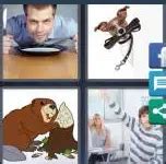 4 pics one word level 4087